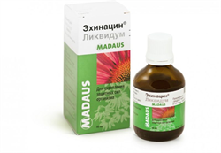 эхинацеи настойка 50 мл фото