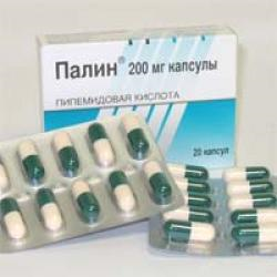 палин 200 мг n20 капс фото