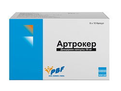 артрокер капс 50мг n60 фото
