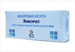 энкорат таб по кишечнораств 300мг n100 фото