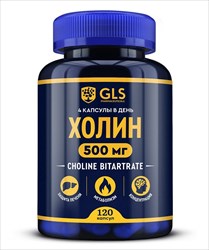 gls холин капс 400мг n120 фото