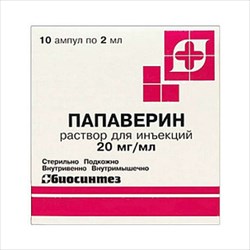 папаверин р-р для ин 20мг/мл 2мл n10 фото