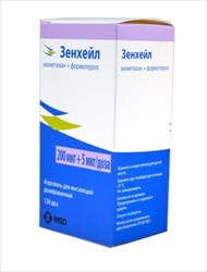 зенхейл аэрозоль 200 плюс 5 мкг/доза 120 доз фото