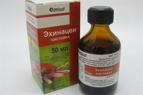 эхинацея настойка фл 50мл фото