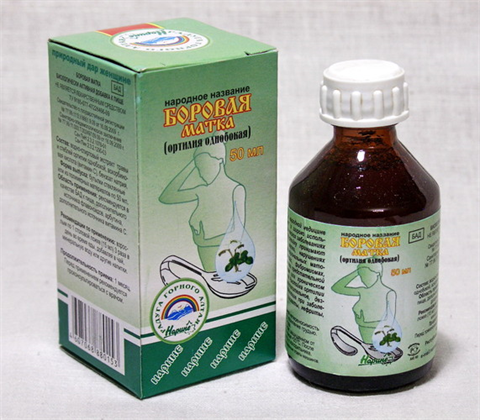 боровая матка настойка 50мл фото