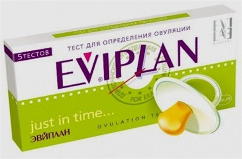тест на овуляцию эвиплан n5 фото