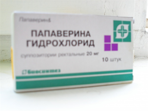 папаверин раствор для инъекций 2% 2 мл n10 амл фото