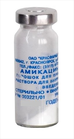 амикацина порошок 0,5 г n1 флакон фото