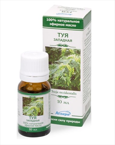 аспера масло эфирн 10мл туя фото