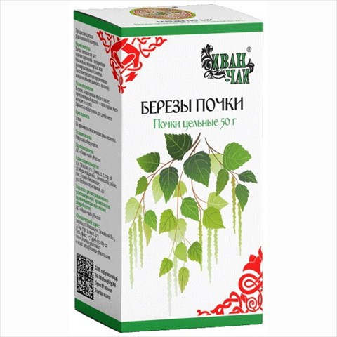 березы почки почки цельные пач 50г фото