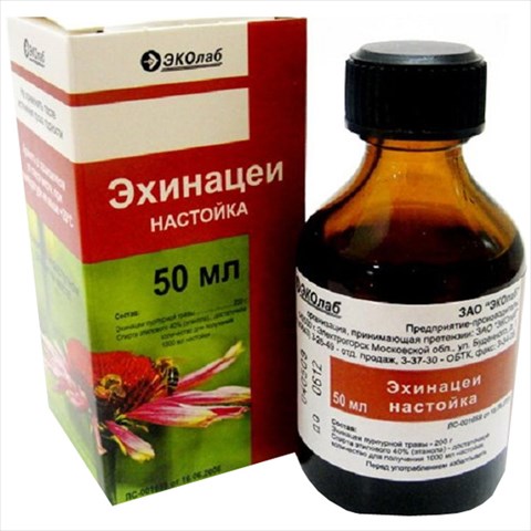 эхинацея настойка фл 50мл фото