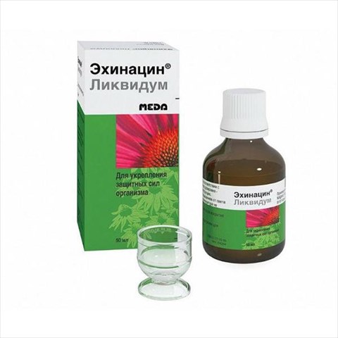 эхинацин ликвидум р-р для внутр примен 50мл фото