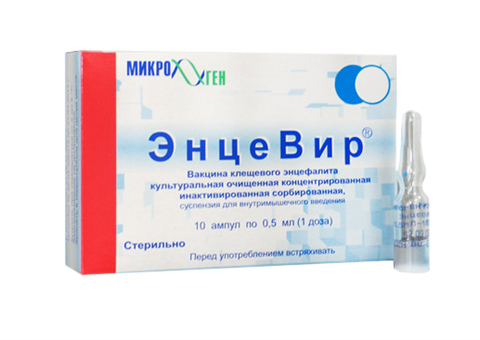 энцевир суспензия для инъекций 0,5 мл/доза n10 амп вакцина против клещевого энцефалита фото