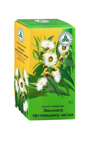 эвкалипта листья 75 г фото