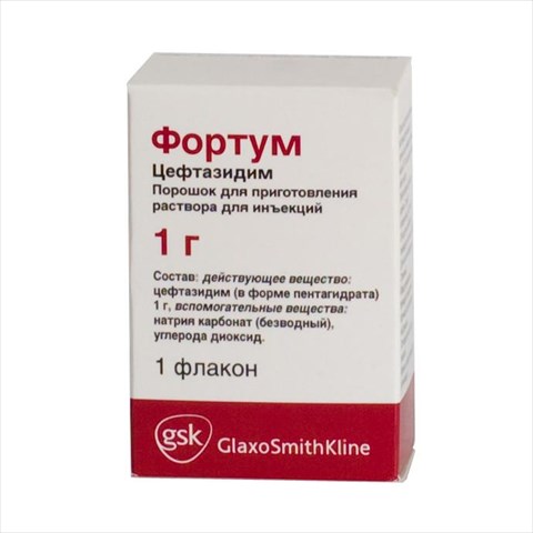 фортум 1,0 флак фото