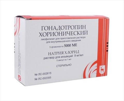 гонадотропин хорионический лиофилизат для инъекций 5000 ед n5 фл с растворителем фото