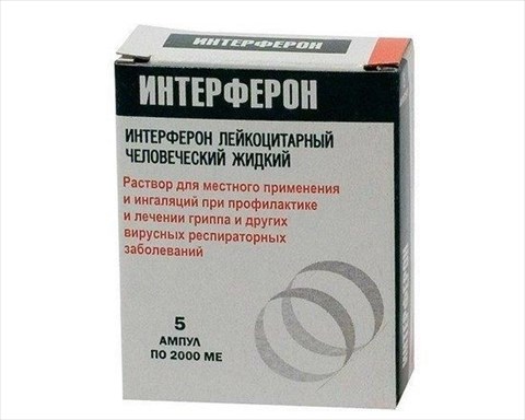 интерферон лейкоцитарный жидкий 1000 ме/мл 2 мл n5 амп  фото