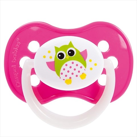 канпол пустышка силикон симметричная owls 0-6 мес (22/568) фото