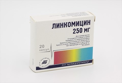 линкомицин капсулы 250 мг n20 фото