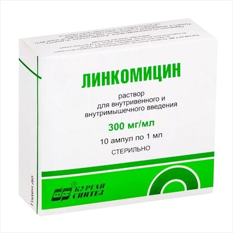 линкомицин р-р для в/в и в/м введ 300мг/мл 1мл n10 фото