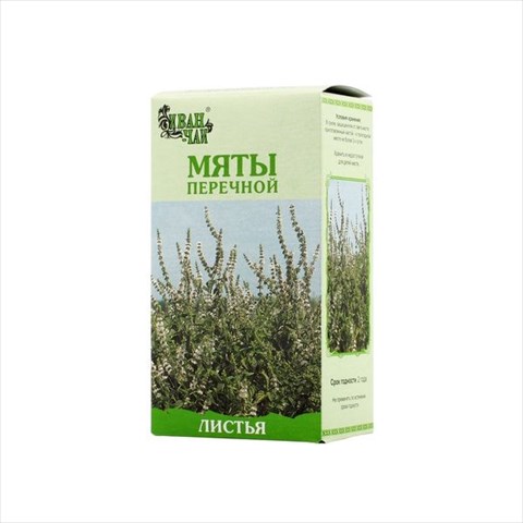 мята перечная листья пач 50г фото