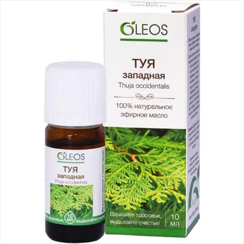 олеос масло эфирн 10мл туя фото