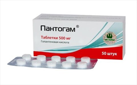 пантогам таб 500мг n50 фото