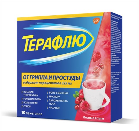 терафлю лесные ягоды порошок n10 пакетиков фото