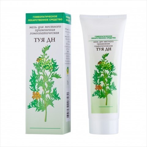 туя дн мазь гомеопатическая 70 г фото