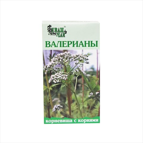 валериана корневища с корнями 50г фото