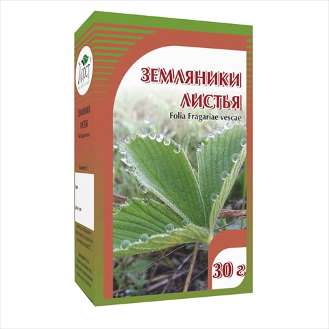 земляника лист 30,0 фото