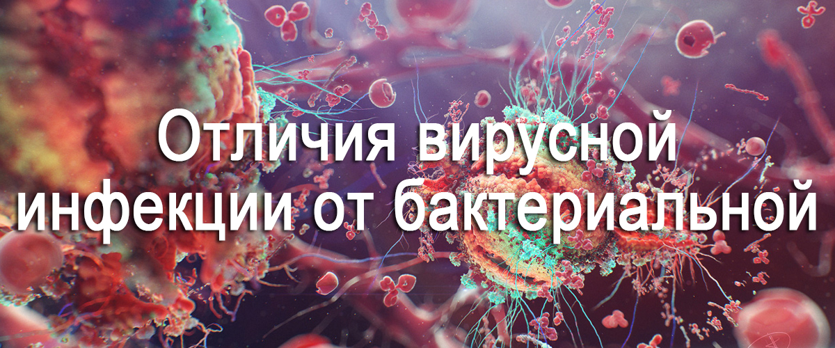 отличия вирусной инфекции от бактериальной