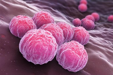 чем опасен хламидиоз?