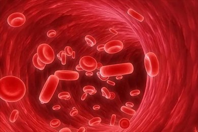 резус-конфликт при беременности: чем опасно