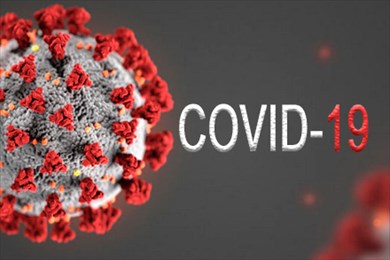 самое важное про коронавирус covid-19