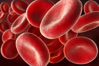 все что нужно знать об анемии